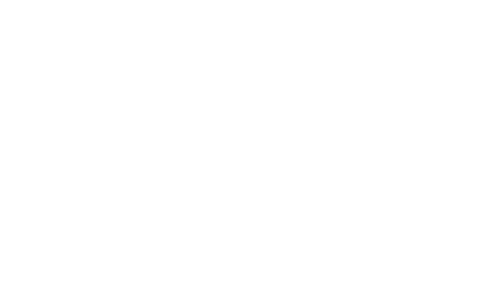 台集运LOGO-反白横版